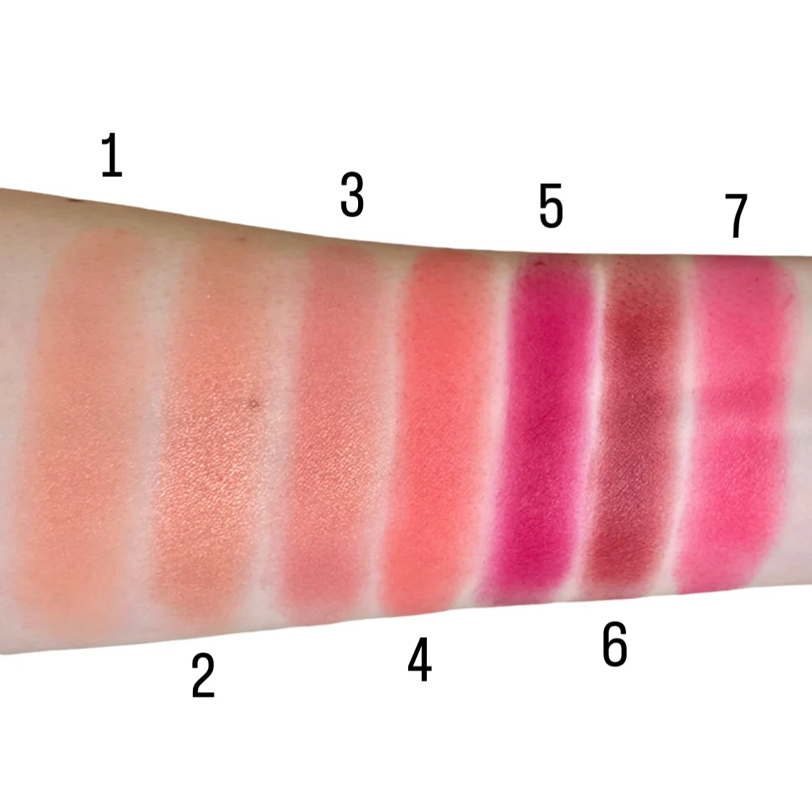 Powder Blush - Image 3